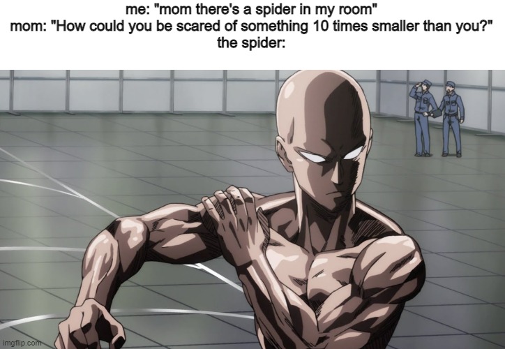Don't kill the spider, it can eat the roaches | me: "mom there's a spider in my room"
mom: "How could you be scared of something 10 times smaller than you?"
the spider: | image tagged in saitama - one punch man anime,memes,funny | made w/ Imgflip meme maker
