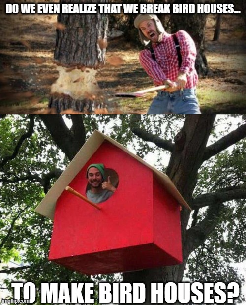 Did we even realize this? | DO WE EVEN REALIZE THAT WE BREAK BIRD HOUSES... TO MAKE BIRD HOUSES? | image tagged in cutting down a tree,bird house,nest | made w/ Imgflip meme maker