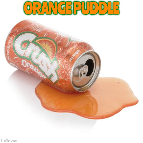 Orange puddle | ORANGE PUDDLE | image tagged in orange crush,orange puddle,florida,losers,fake | made w/ Imgflip meme maker