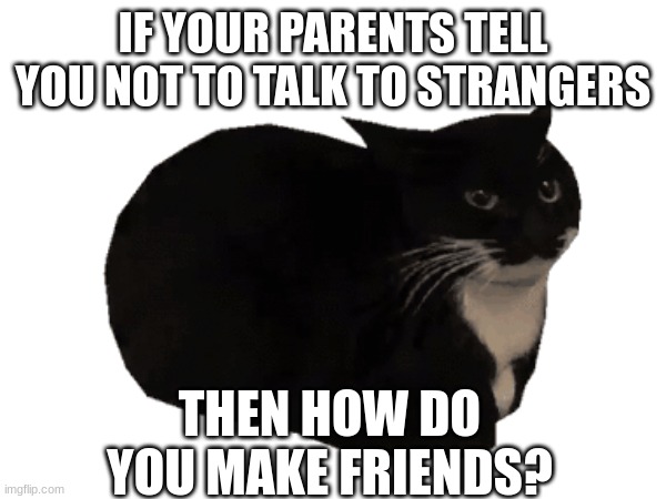 I just realized it... | IF YOUR PARENTS TELL YOU NOT TO TALK TO STRANGERS; THEN HOW DO YOU MAKE FRIENDS? | image tagged in cat | made w/ Imgflip meme maker