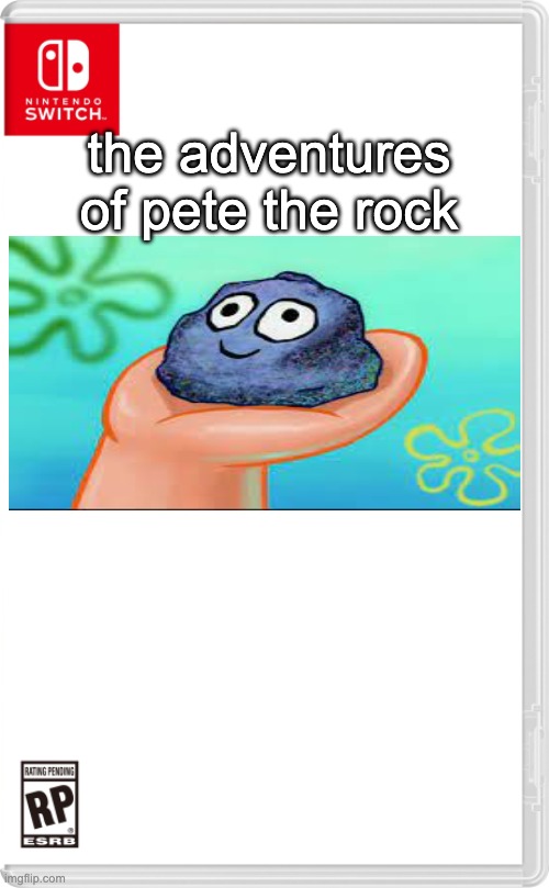 the adventures of pete the rock | the adventures of pete the rock | image tagged in nintendo switch cartridge case,nintendo switch,games | made w/ Imgflip meme maker