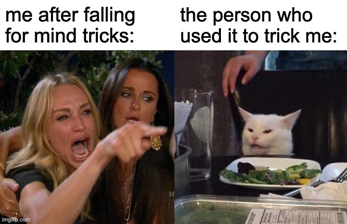 Woman Yelling At Cat Meme | me after falling for mind tricks:; the person who used it to trick me: | image tagged in memes,woman yelling at cat | made w/ Imgflip meme maker