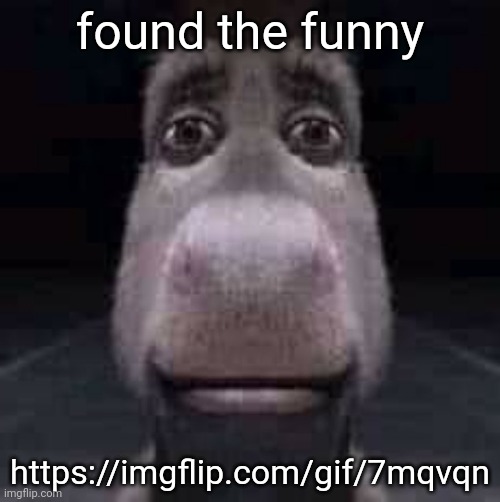 well, at least in my opinion (in /m/ fun section) | found the funny; https://imgflip.com/gif/7mqvqn | image tagged in donkey staring | made w/ Imgflip meme maker