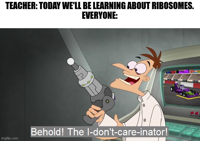 the i don't care inator | TEACHER: TODAY WE'LL BE LEARNING ABOUT RIBOSOMES.
EVERYONE: | image tagged in the i don't care inator,school,school sucks,teachers | made w/ Imgflip meme maker