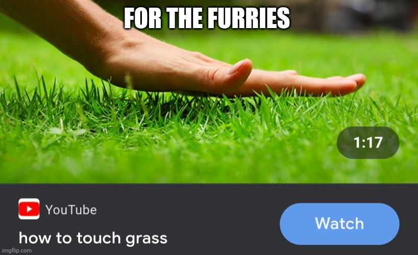 How to touch grass | FOR THE FURRIES | image tagged in how to touch grass | made w/ Imgflip meme maker