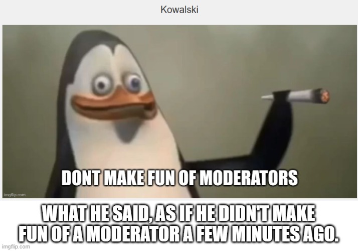 The guy who attacked Swampy for disliking one of his memes | WHAT HE SAID, AS IF HE DIDN'T MAKE FUN OF A MODERATOR A FEW MINUTES AGO. | image tagged in terrible | made w/ Imgflip meme maker