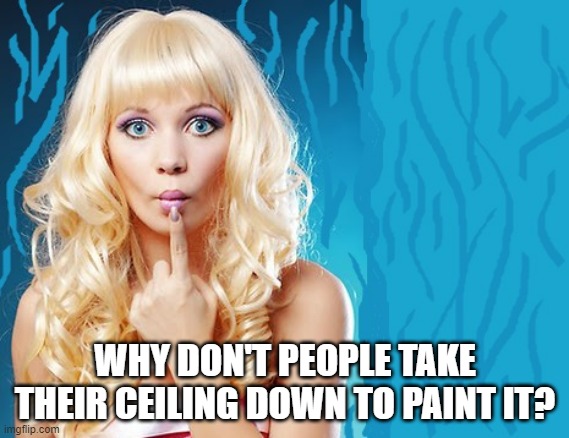 ditzy blonde | WHY DON'T PEOPLE TAKE THEIR CEILING DOWN TO PAINT IT? | image tagged in ditzy blonde | made w/ Imgflip meme maker