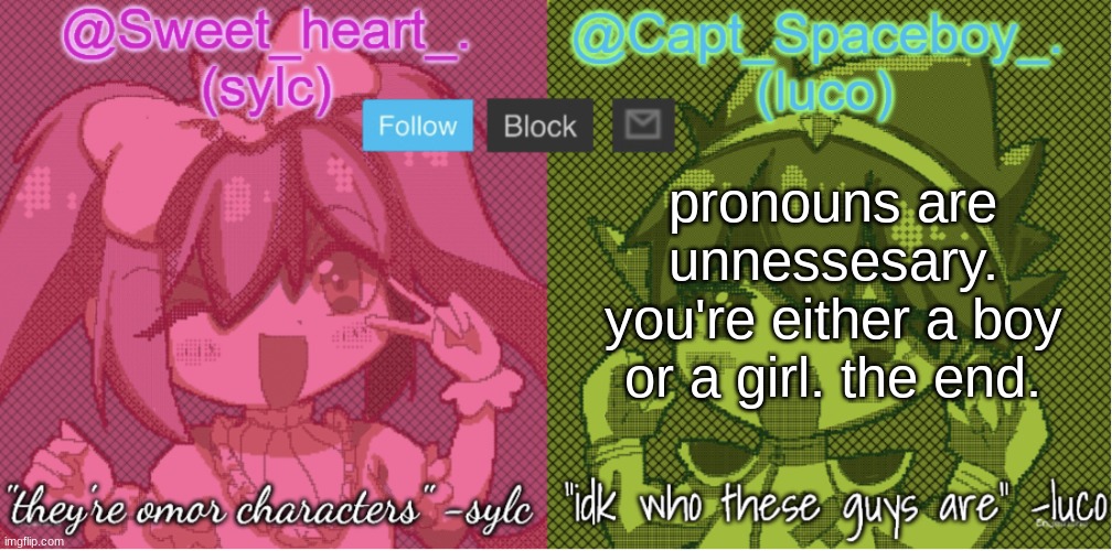 . | pronouns are unnessesary. you're either a boy or a girl. the end. | image tagged in luco and sylc | made w/ Imgflip meme maker