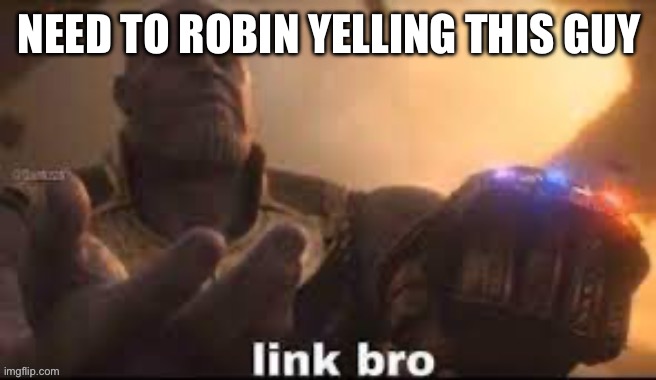 link bro | NEED TO ROBIN YELLING THIS GUY | image tagged in link bro | made w/ Imgflip meme maker