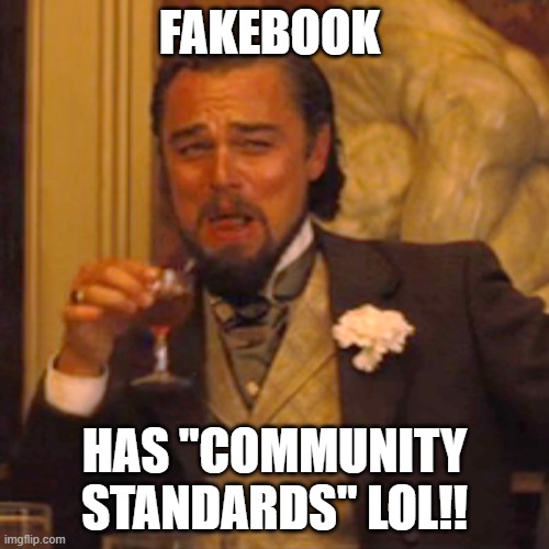 Laughing Leo Meme | FAKEBOOK; HAS "COMMUNITY STANDARDS" LOL!! | image tagged in memes,laughing leo | made w/ Imgflip meme maker