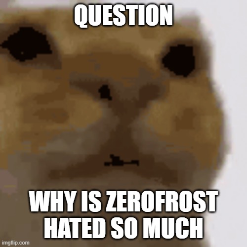 low qual awkward | QUESTION; WHY IS ZEROFROST HATED SO MUCH | image tagged in low qual awkward | made w/ Imgflip meme maker