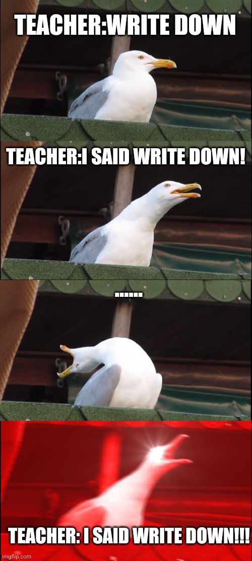 Inhaling Seagull Meme | TEACHER:WRITE DOWN; TEACHER:I SAID WRITE DOWN! ...... TEACHER: I SAID WRITE DOWN!!! | image tagged in memes,inhaling seagull | made w/ Imgflip meme maker