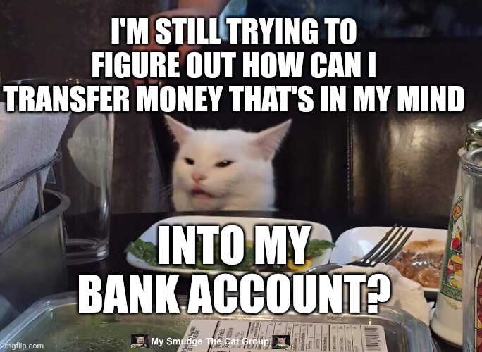 I'M STILL TRYING TO FIGURE OUT HOW CAN I TRANSFER MONEY THAT'S IN MY MIND; INTO MY BANK ACCOUNT? | image tagged in smudge the cat | made w/ Imgflip meme maker