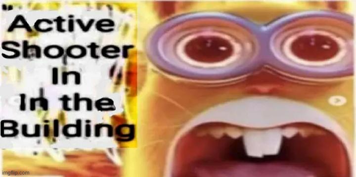 AAAAAAAAAAAAAAHHHHHHHHHHHH | image tagged in school shooting,bang,minions | made w/ Imgflip meme maker