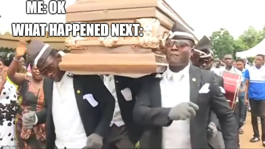 Coffin Dance | ME: OK WHAT HAPPENED NEXT: | image tagged in coffin dance | made w/ Imgflip meme maker