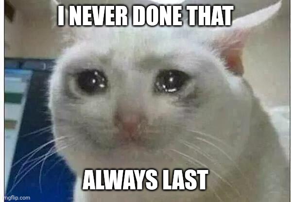crying cat | I NEVER DONE THAT ALWAYS LAST | image tagged in crying cat | made w/ Imgflip meme maker