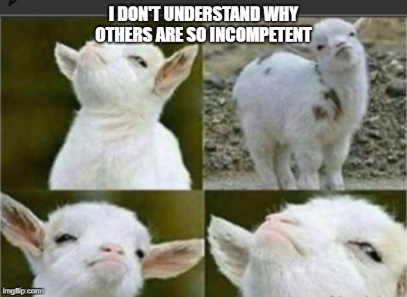 Arrogant sheep | I DON'T UNDERSTAND WHY OTHERS ARE SO INCOMPETENT | image tagged in arrogant sheep | made w/ Imgflip meme maker