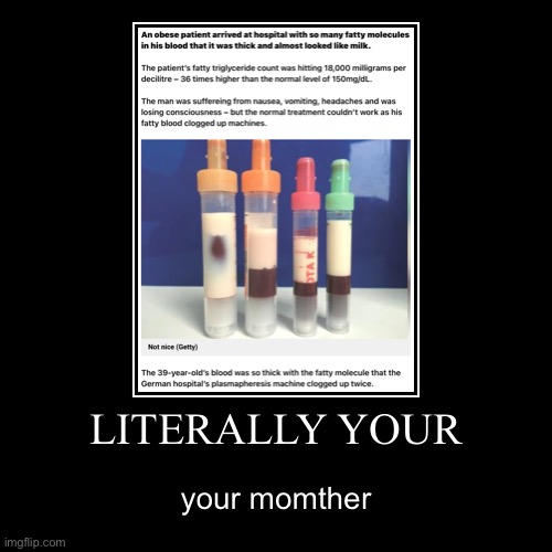 LITERALLY YOUR | your momther | made w/ Imgflip demotivational maker