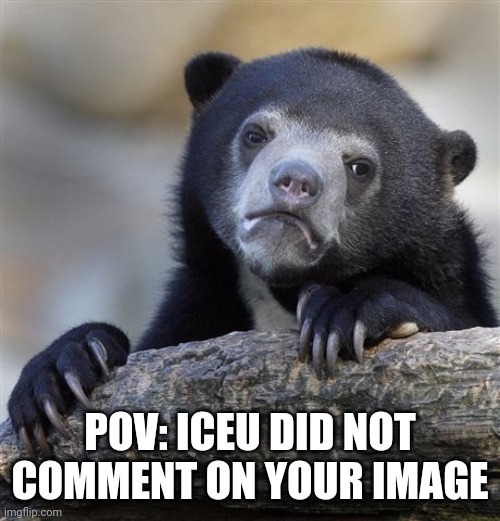 Confession Bear | POV: ICEU DID NOT COMMENT ON YOUR IMAGE | image tagged in memes,confession bear | made w/ Imgflip meme maker