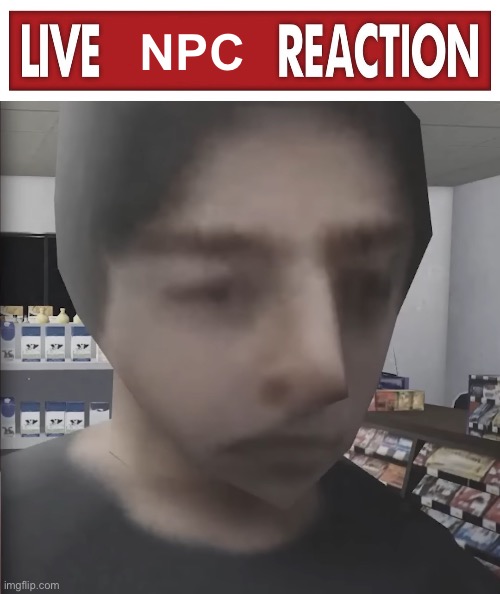 NPC | image tagged in live npc reaction | made w/ Imgflip meme maker