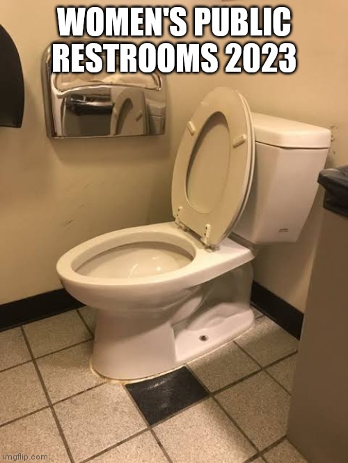 Women's public restrooms 2023 | WOMEN'S PUBLIC RESTROOMS 2023 | image tagged in transgender,women rights,womens march,angry feminist | made w/ Imgflip meme maker