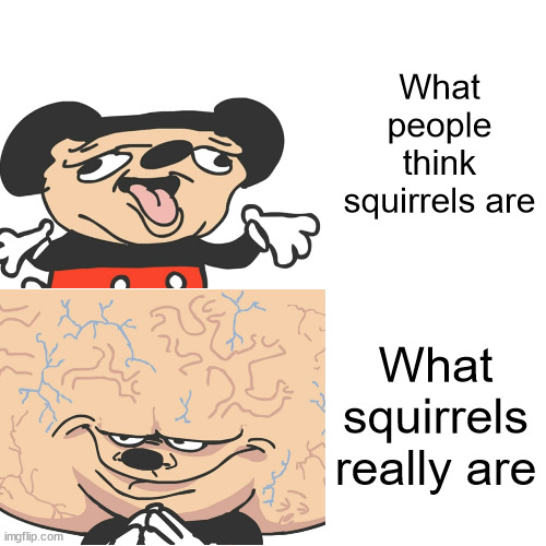 scp-3761 | What people think squirrels are; What squirrels really are | image tagged in mokey dumb and smart,memes,scp meme,scp-3761 | made w/ Imgflip meme maker