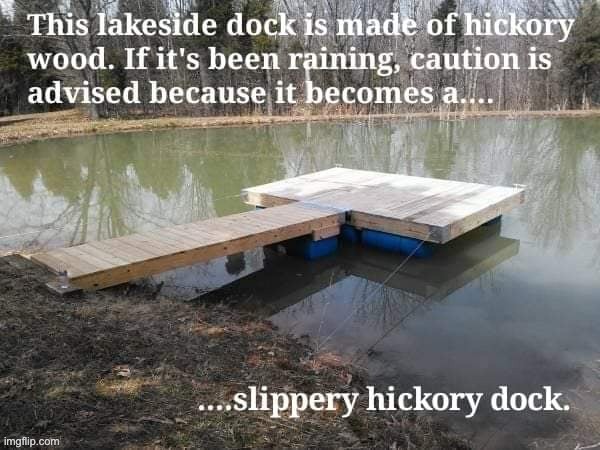 What’s up dock? | image tagged in bad pun | made w/ Imgflip meme maker