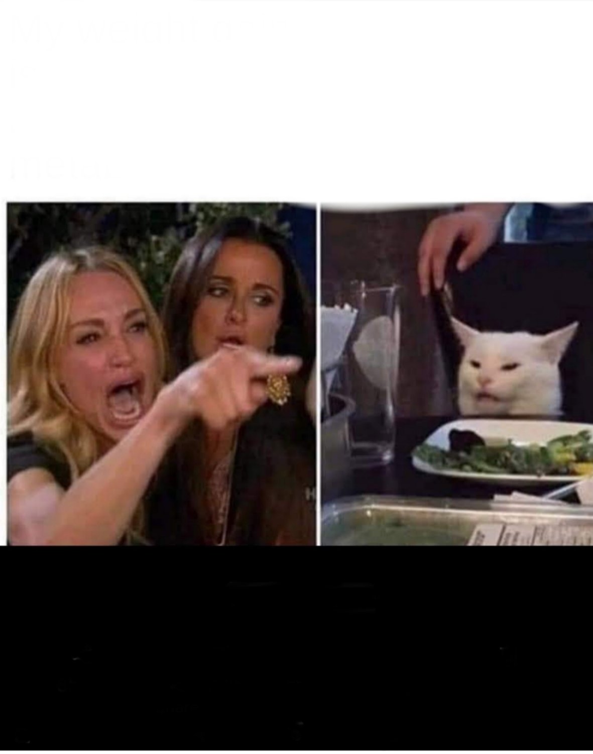 High Quality Smudge the Cat Blank Meme Template