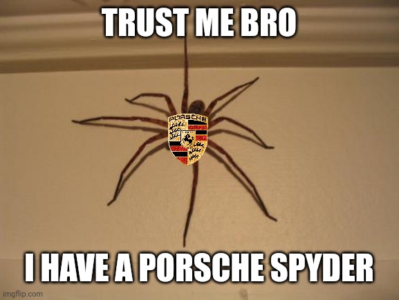 Sure bro | TRUST ME BRO; I HAVE A PORSCHE SPYDER | image tagged in scumbag spider,porsche,car,spider | made w/ Imgflip meme maker