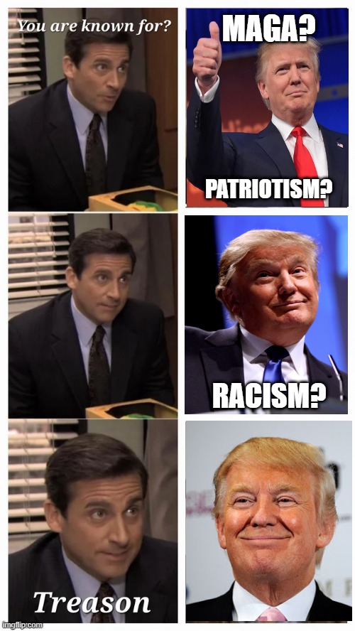 Known For... | MAGA? PATRIOTISM? RACISM? | image tagged in trump | made w/ Imgflip meme maker