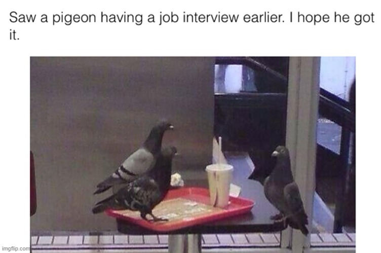 I really hope he got the job ;) | made w/ Imgflip meme maker