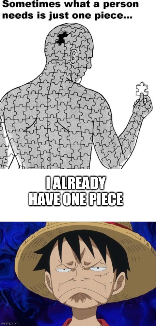 I ALREADY HAVE ONE PIECE | image tagged in puzzle,one piece luffy pout | made w/ Imgflip meme maker