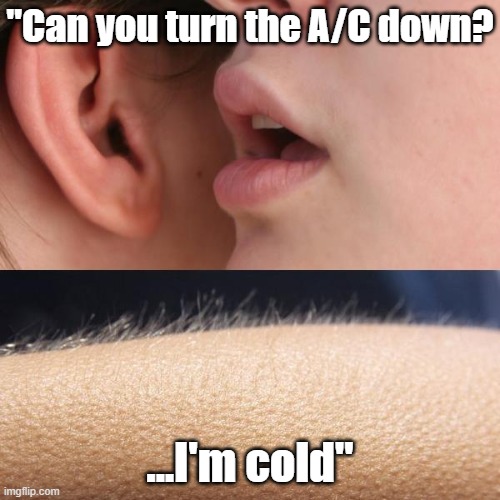 I once turned my hotel A/C down to 55 | "Can you turn the A/C down? ...I'm cold" | image tagged in whisper and goosebumps | made w/ Imgflip meme maker