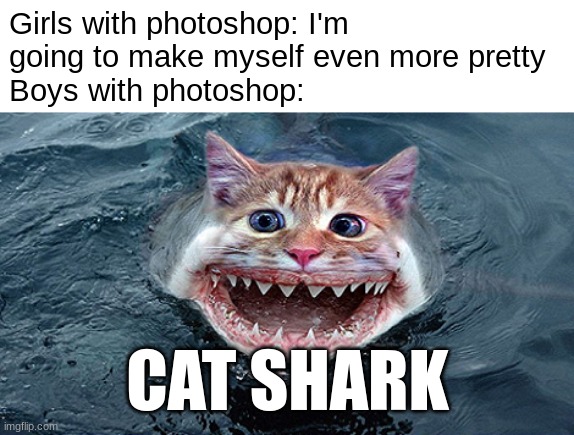 Girls with photoshop: I'm going to make myself even more pretty
Boys with photoshop:; CAT SHARK | image tagged in memes,funny,photoshop,boys vs girls,girls vs boys,cats | made w/ Imgflip meme maker