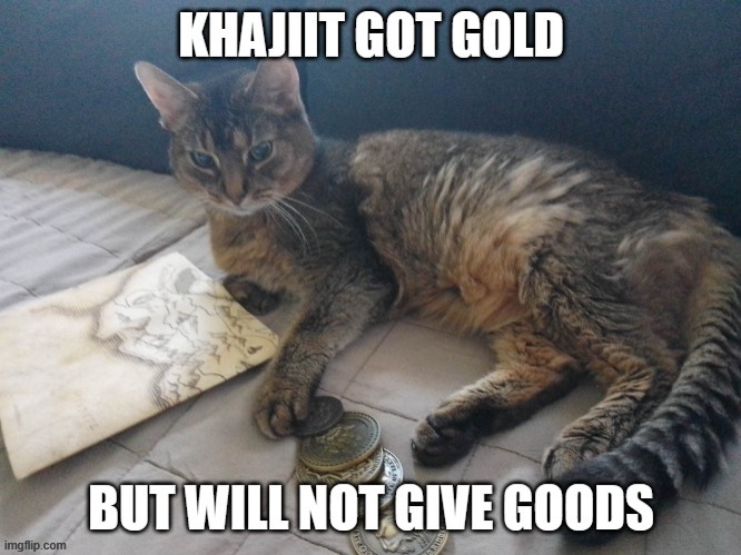 Khajitt got my gold but will not give goods.... | image tagged in gaming,video games,skyrim,cats,khajiit,elder scrolls | made w/ Imgflip meme maker