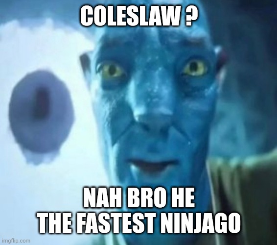 Avatar guy | COLESLAW ? NAH BRO HE THE FASTEST NINJAGO | image tagged in avatar guy | made w/ Imgflip meme maker