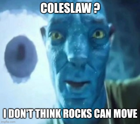 Avatar guy | COLESLAW ? I DON'T THINK ROCKS CAN MOVE | image tagged in avatar guy | made w/ Imgflip meme maker