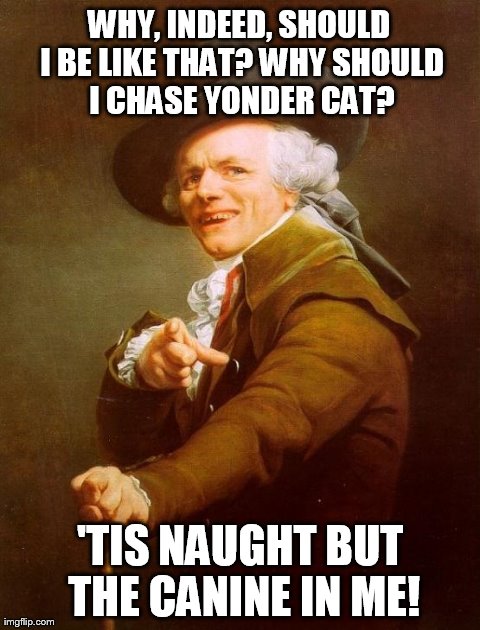 Joseph "Atomic Dog" Ducreux | WHY, INDEED, SHOULD I BE LIKE THAT? WHY SHOULD I CHASE YONDER CAT? 'TIS NAUGHT BUT THE CANINE IN ME! | image tagged in memes,joseph ducreux | made w/ Imgflip meme maker