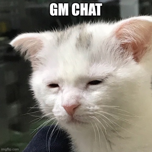 Hello again | GM CHAT | image tagged in i'm awake but at what cost | made w/ Imgflip meme maker