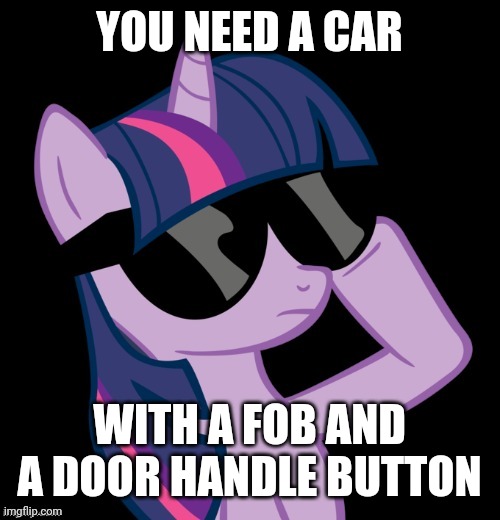 Twilight with shades | YOU NEED A CAR WITH A FOB AND A DOOR HANDLE BUTTON | image tagged in twilight with shades | made w/ Imgflip meme maker