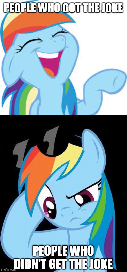 PEOPLE WHO GOT THE JOKE PEOPLE WHO DIDN'T GET THE JOKE | image tagged in rainbow dash laughing,confused rainbow dash | made w/ Imgflip meme maker