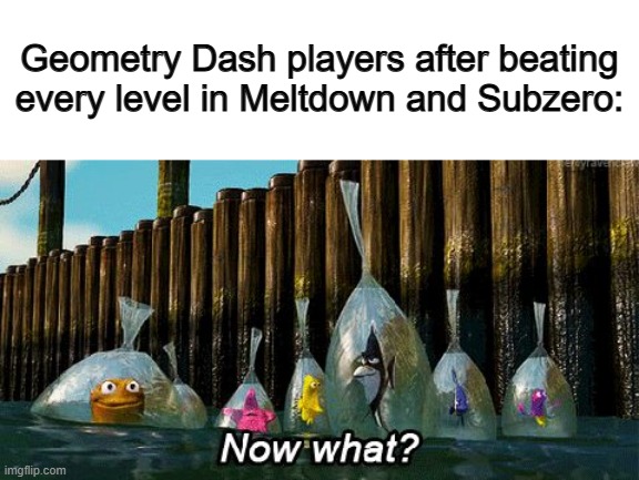 We need an update for the side games... | Geometry Dash players after beating every level in Meltdown and Subzero: | image tagged in now what | made w/ Imgflip meme maker