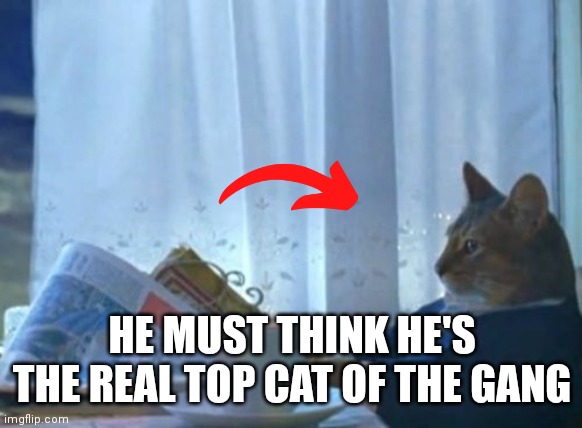 Rich cat acting like he's rich | HE MUST THINK HE'S THE REAL TOP CAT OF THE GANG | image tagged in memes,i should buy a boat cat,rich cat,top cat,funny memes | made w/ Imgflip meme maker