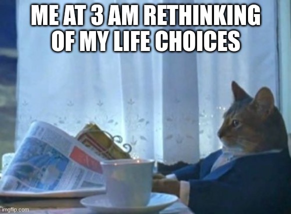 I Should Buy A Boat Cat | ME AT 3 AM RETHINKING OF MY LIFE CHOICES | image tagged in memes,funny,notfunny | made w/ Imgflip meme maker