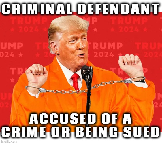 CRIMINAL DEFENDANT | CRIMINAL DEFENDANT; ACCUSED OF A CRIME OR BEING SUED | image tagged in defendant,criminal,court,sued,legal problems,law and order | made w/ Imgflip meme maker