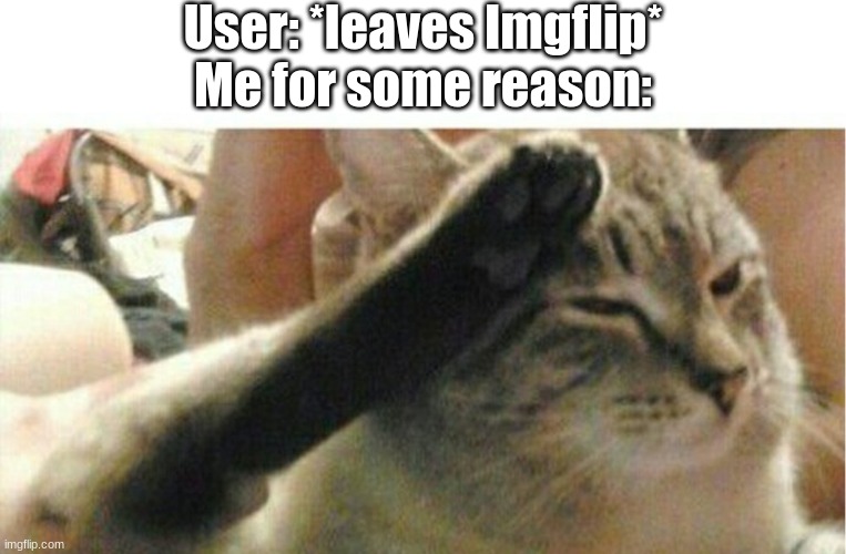 ? *salutes* | User: *leaves Imgflip*
Me for some reason: | image tagged in cat of honor | made w/ Imgflip meme maker