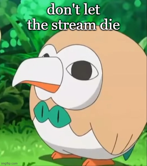 Xatu Rowlet | don't let the stream die | image tagged in xatu rowlet | made w/ Imgflip meme maker