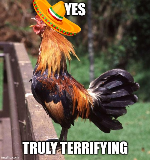 Rooster | YES TRULY TERRIFYING | image tagged in rooster | made w/ Imgflip meme maker