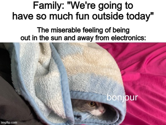 ._. | Family: "We're going to have so much fun outside today"; The miserable feeling of being out in the sun and away from electronics: | image tagged in mano cat bonjour | made w/ Imgflip meme maker