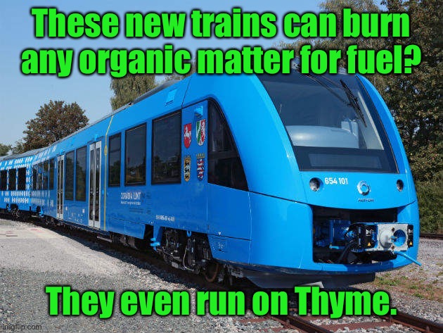 Eco transport | These new trains can burn any organic matter for fuel? They even run on Thyme. | image tagged in eco train,run on organic matter,even run on thyme | made w/ Imgflip meme maker